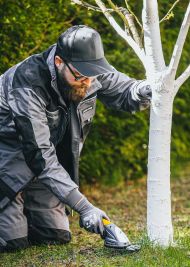 POWERMAT PM-ANTK-7.2T aku nožnice na trávu a kríky 7,2 V + 2 lišty