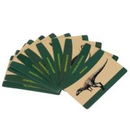 Sada 12 dinosaurích vajec - vykopávka dinosaurie baňa - Kruzzel 24982