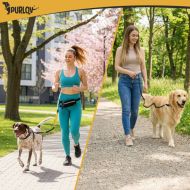PURLOV 24689 bežecké vodítko s ľadvinkou reflexné 2 m, do 50 kg